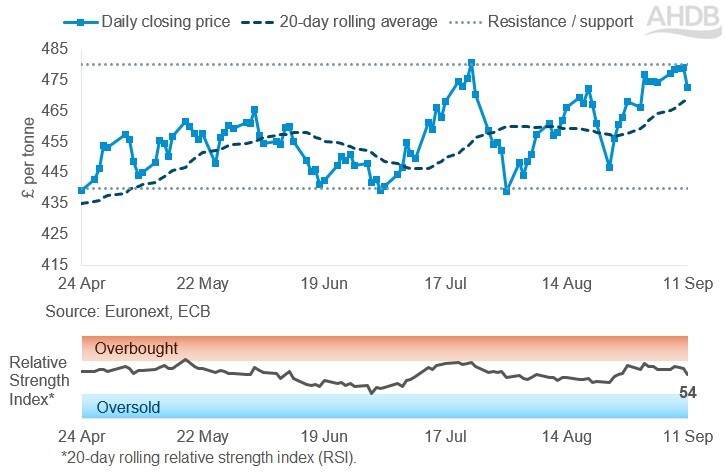 Line graph of Paris rapeseed futures Nov-26 contract prices in £/t over the past six months.